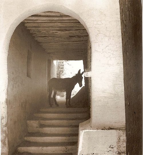 mountados_old_edit_2